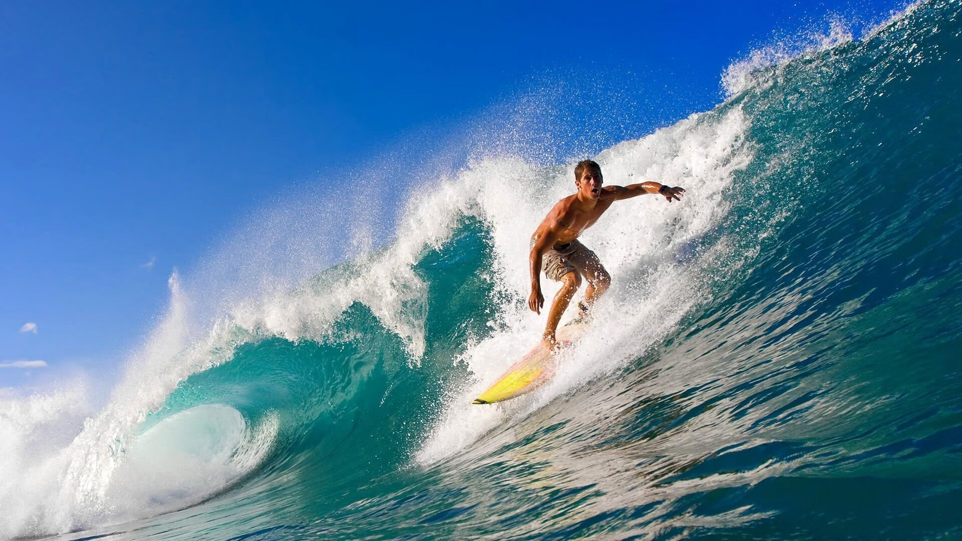 巴萨欧冠小组赛六战全胜晋级16强,巴萨欧冠八强战