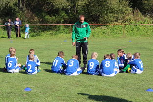 爱游戏网站-中国篮球教练员战术创新能力培养及培训机制探讨，篮球教练员素养