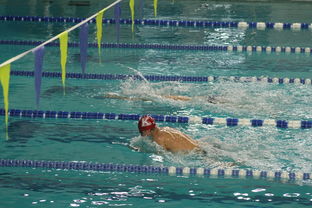 -全国青少年游泳锦标赛青春风采尽展，全国青少年游泳比赛成绩