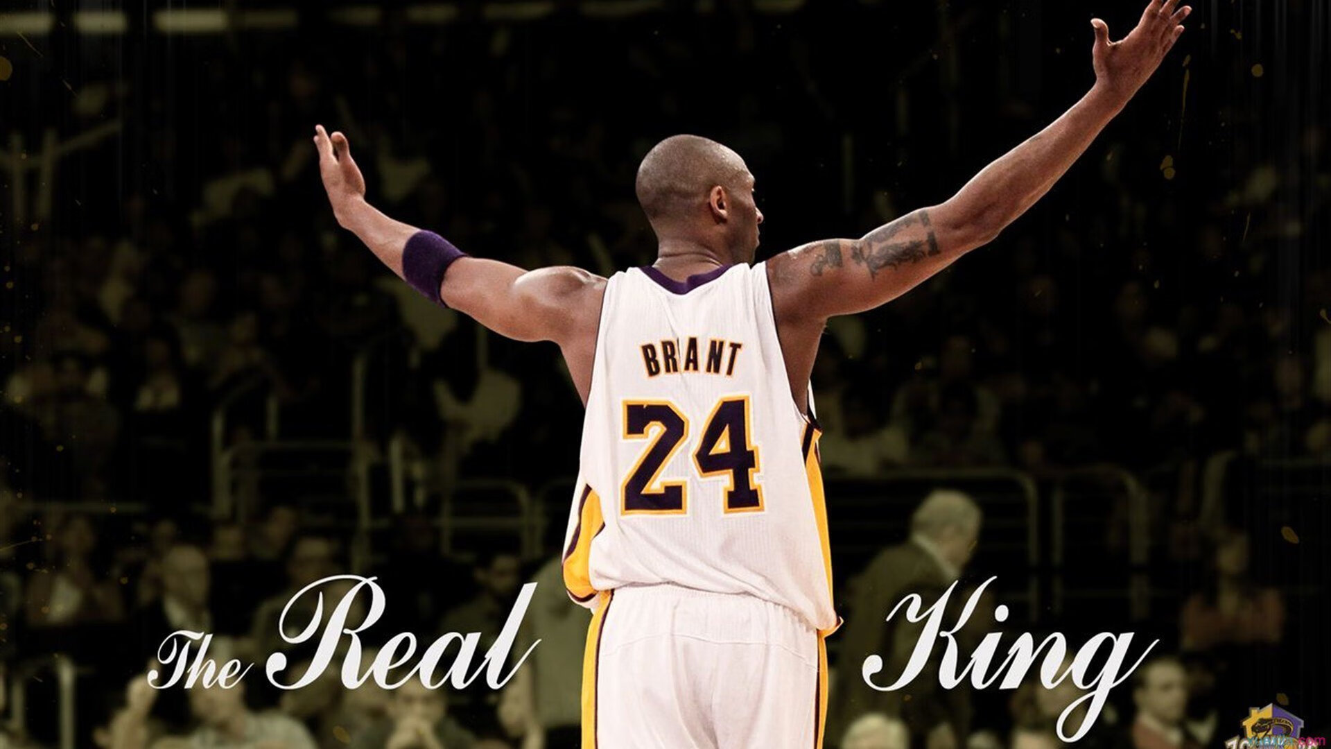 传统民俗“斗牛”比赛，文化底蕴里的竞技热潮，斗牛比赛全过程